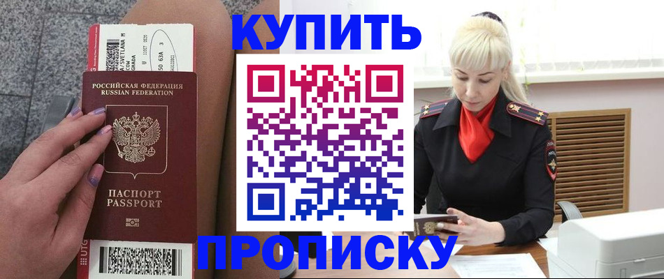 временная регистрация надежно в Мончегорске